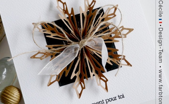 DT Farbton Papier : Cristaux de&nbsp;neige