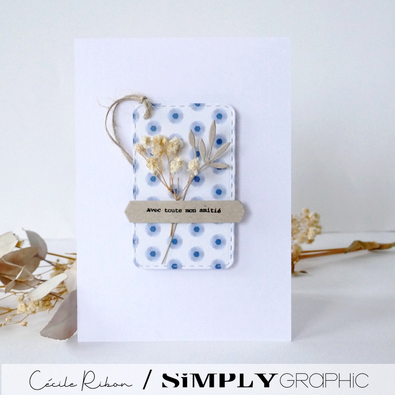 Carte SG20 - P1380918