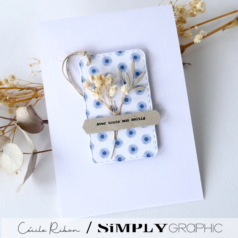 Carte SG20 - P1380924