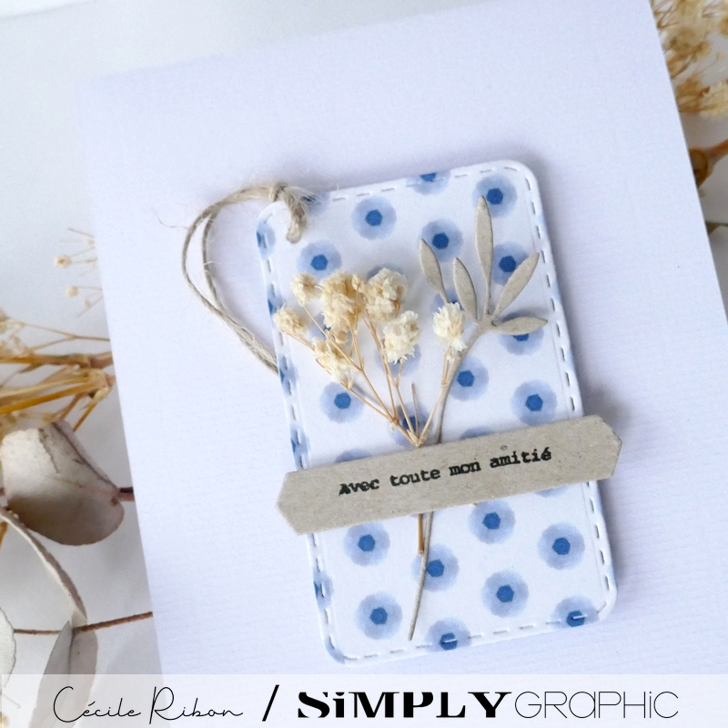 Carte SG20 - P1380932