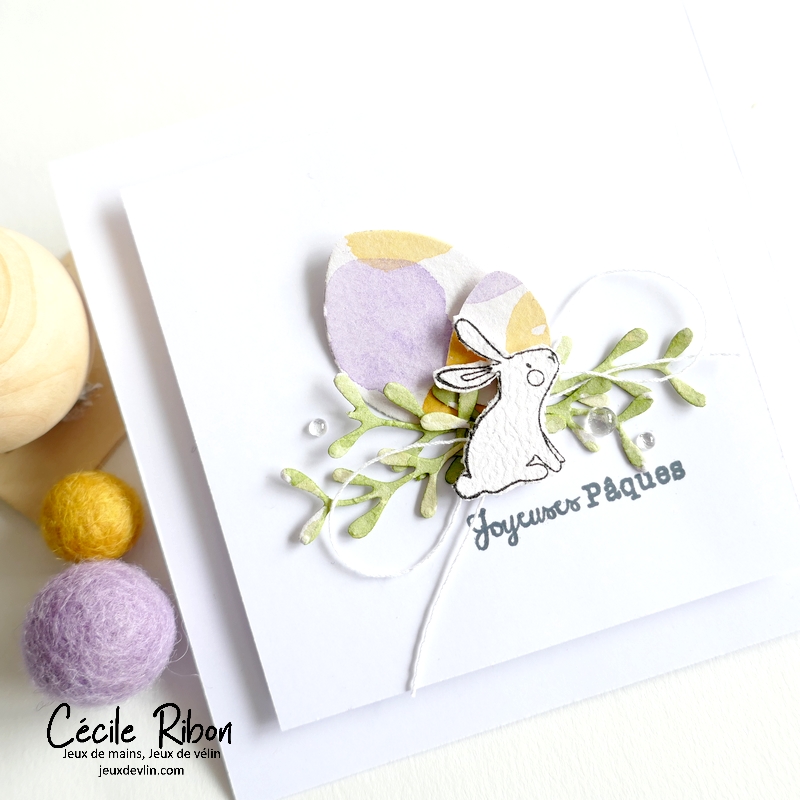 Carte CC&amp;S506 - P1390324