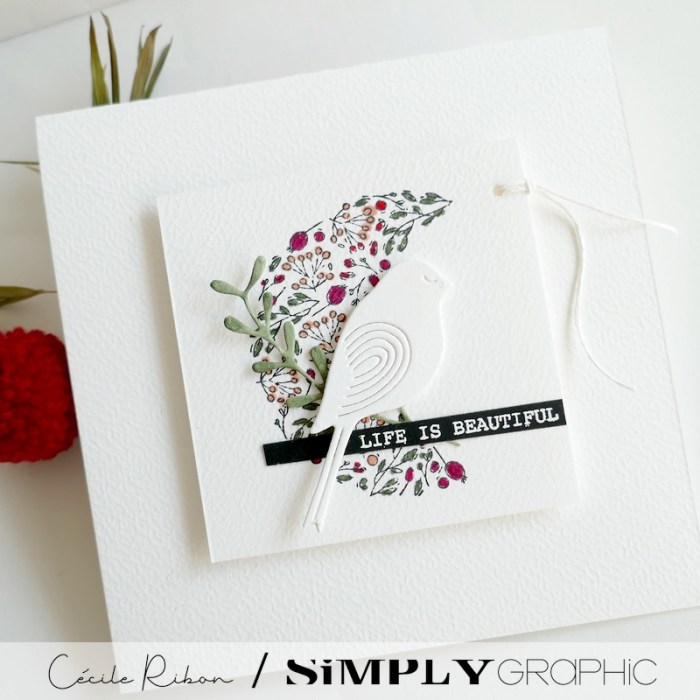 Carte Divers01 - P1390251