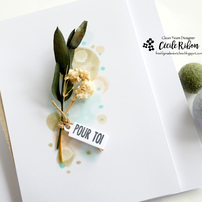 Carte FMS576 - P1390354