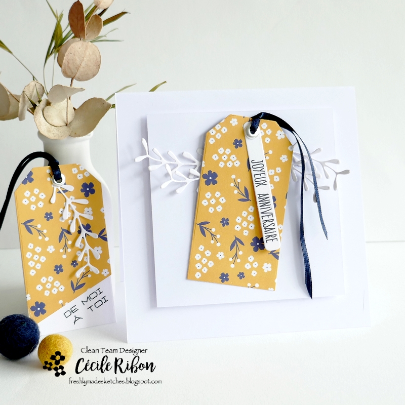 carte FMS578 - P1390661