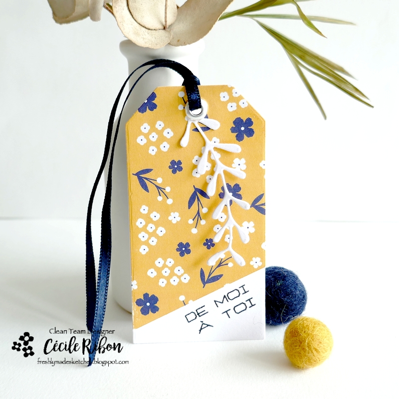 carte FMS578 - P1390670