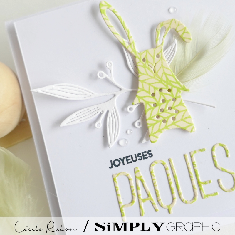 TutoSG09 01 - P1390477