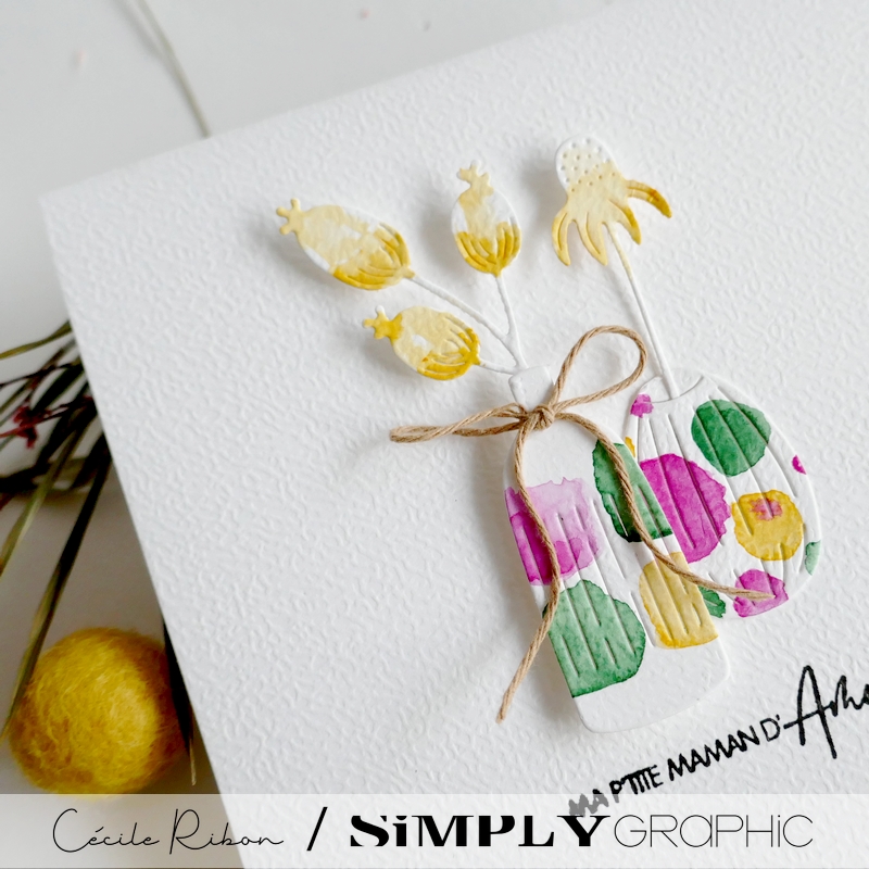 Carte CC&S508 - P1390820