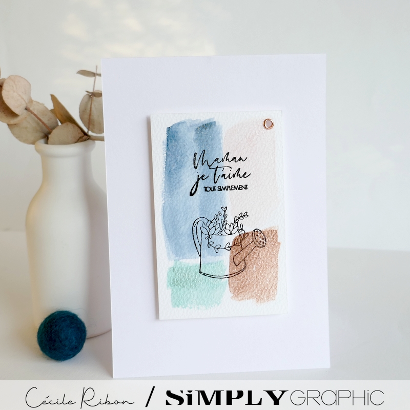 Carte FMS580 - P1390827