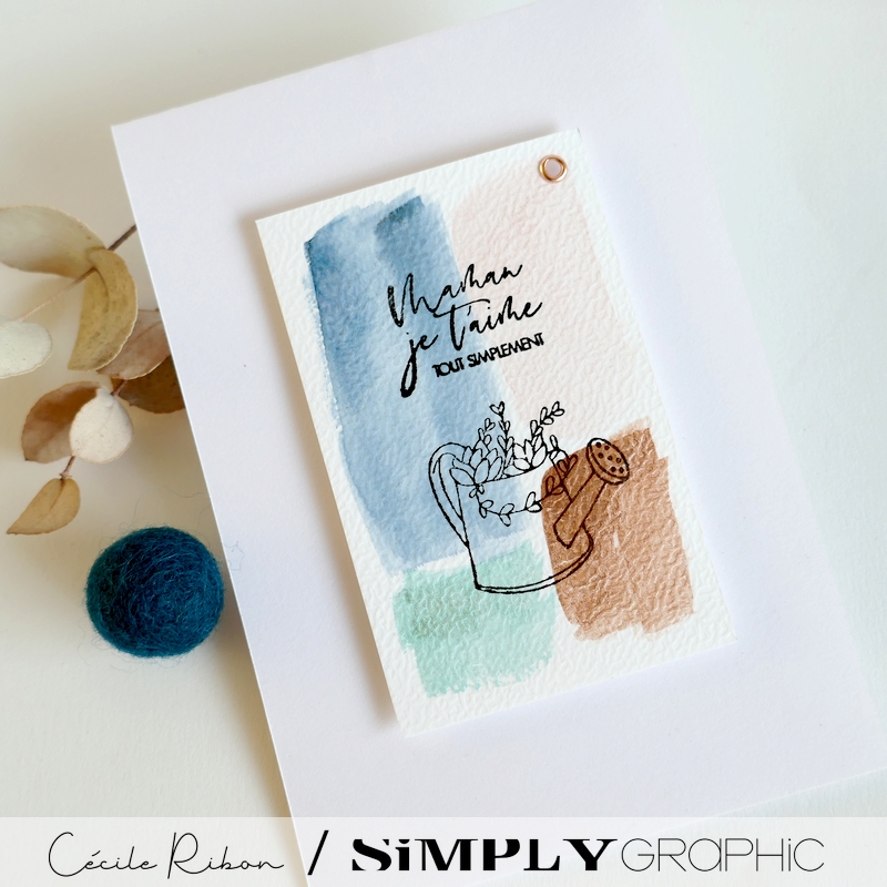 Carte FMS580 - P1390831