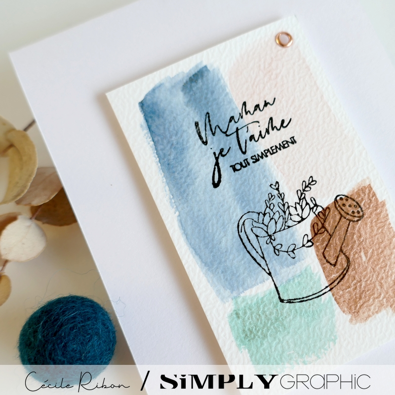 Carte FMS580 - P1390836