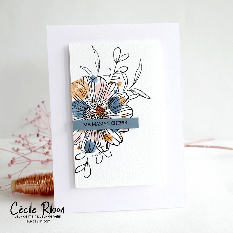 Carte FMS581 - P1390991