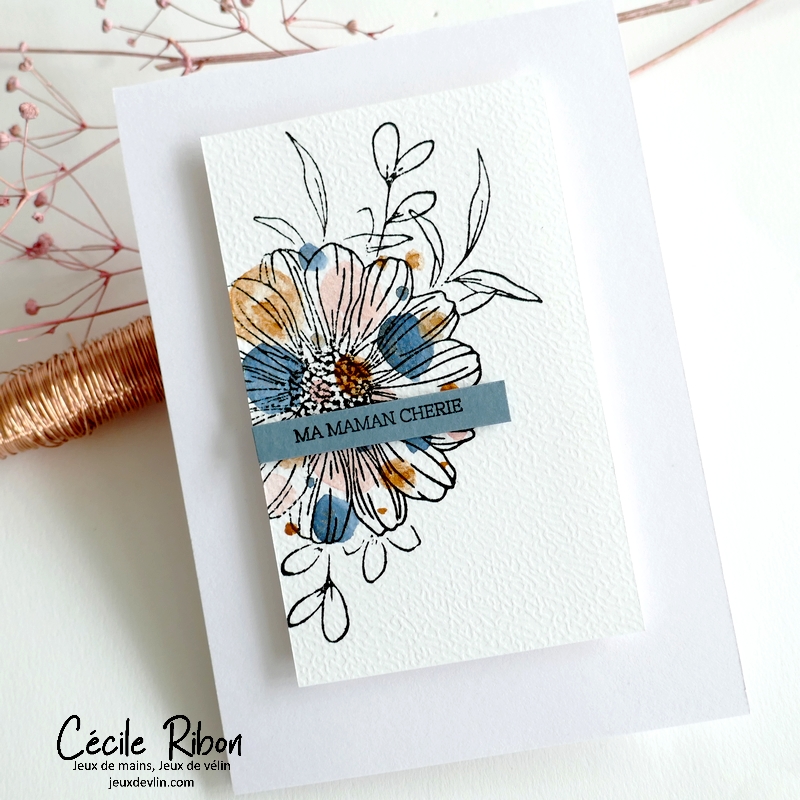 Carte FMS581 - P1390999