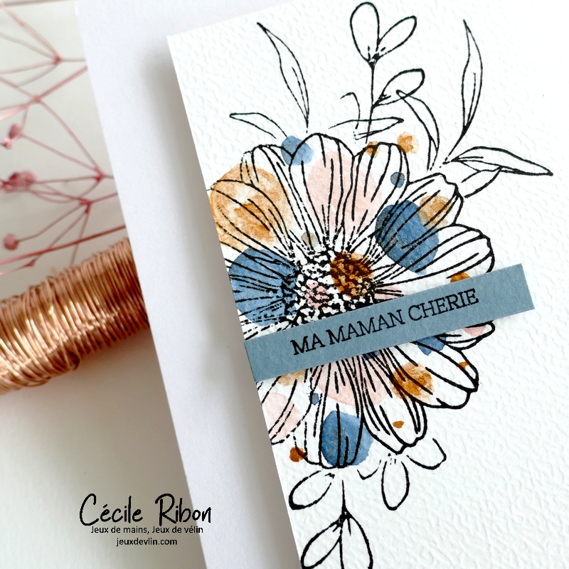 Carte FMS581 - P1400006