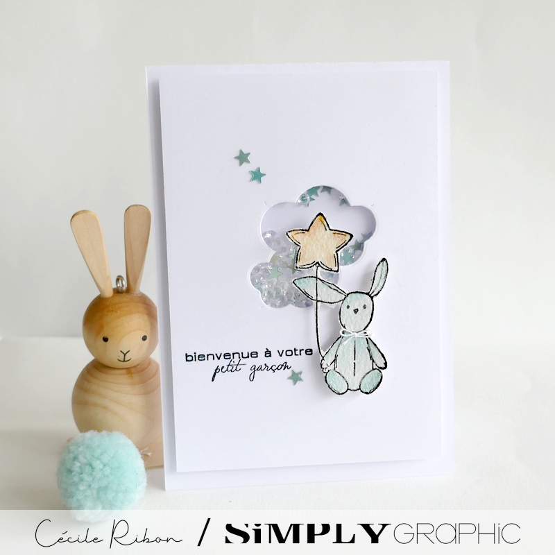 Carte FMS582 - P1400114