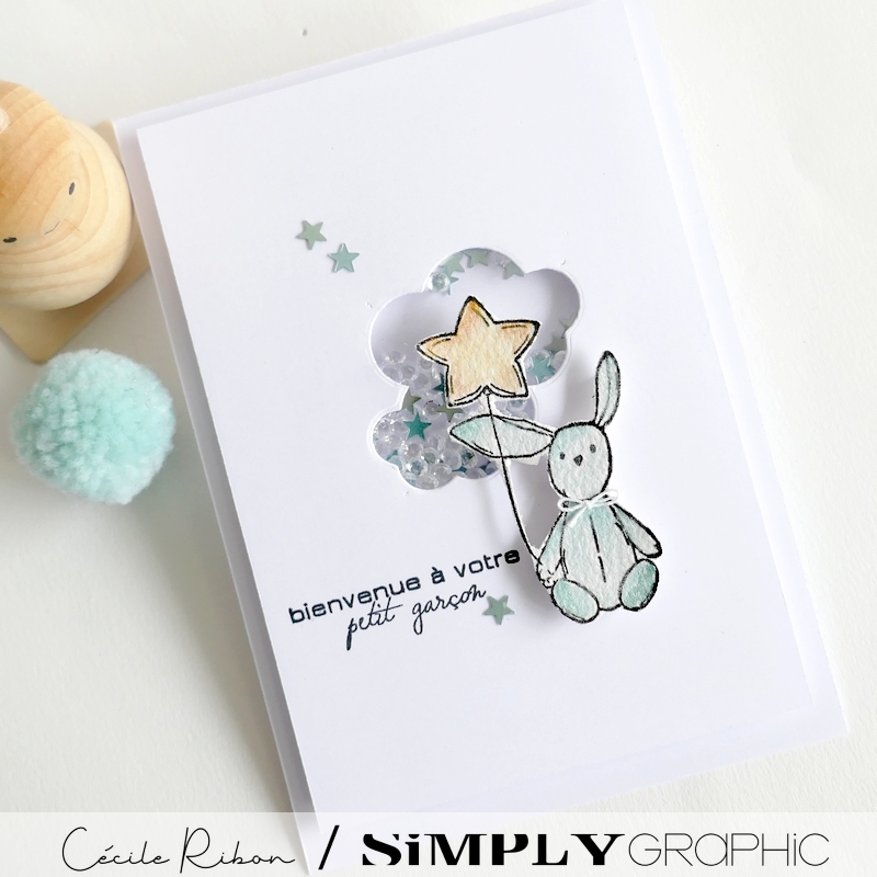 Carte FMS582 - P1400117