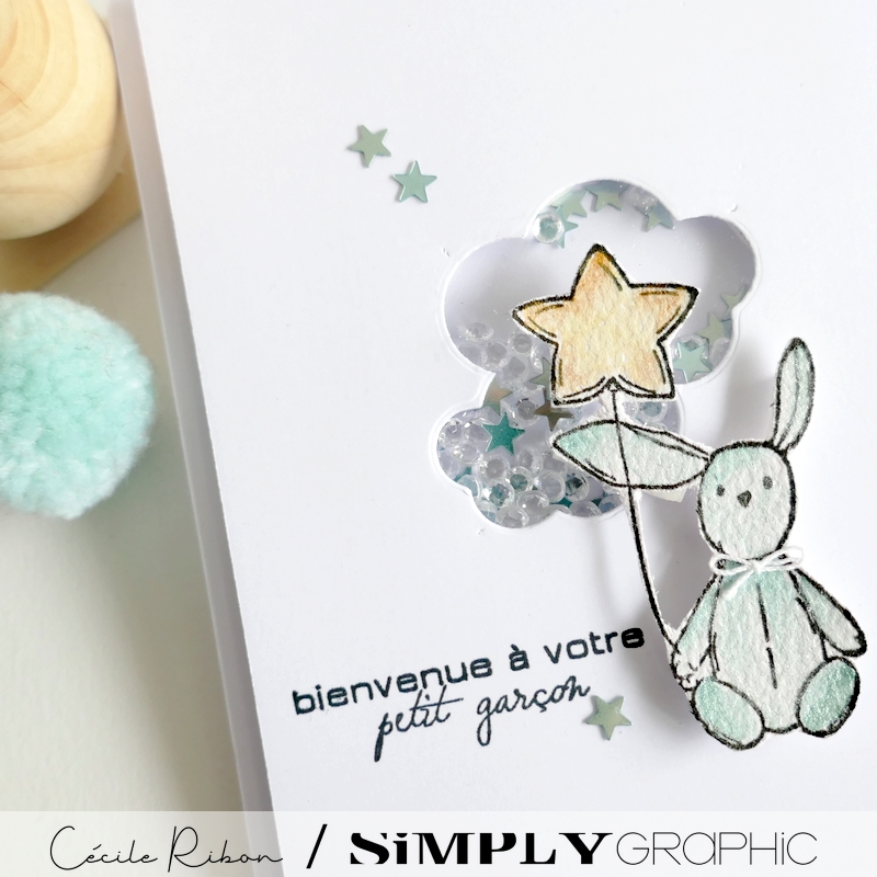 Carte FMS582 - P1400122