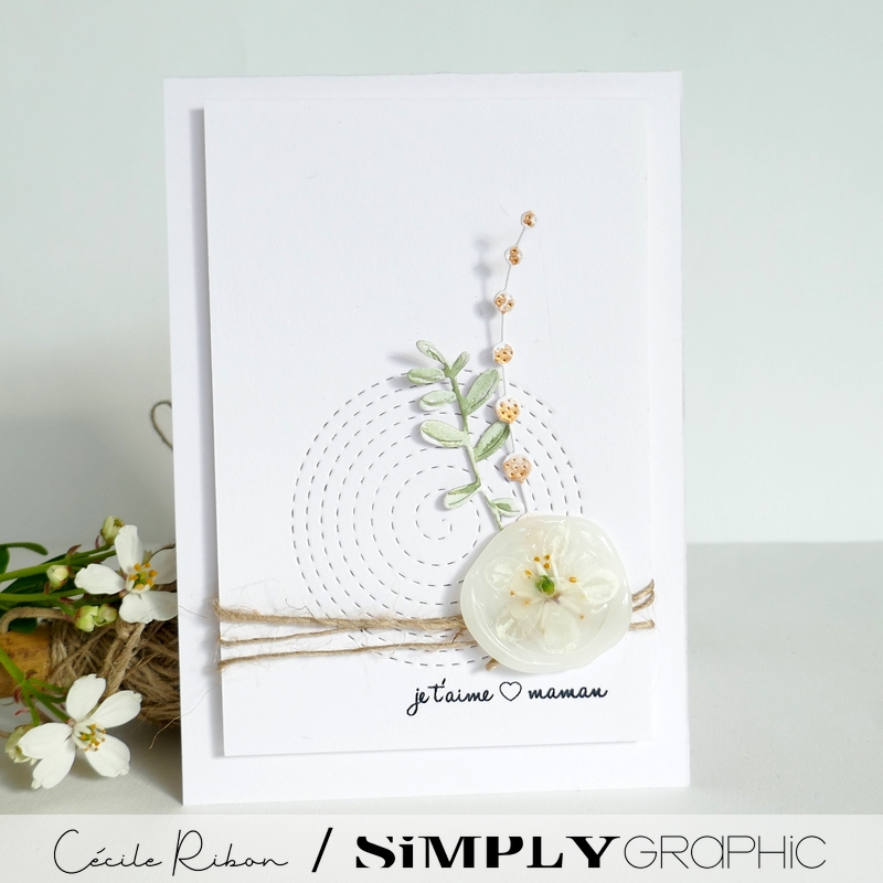 Carte FMS583 - P1400218