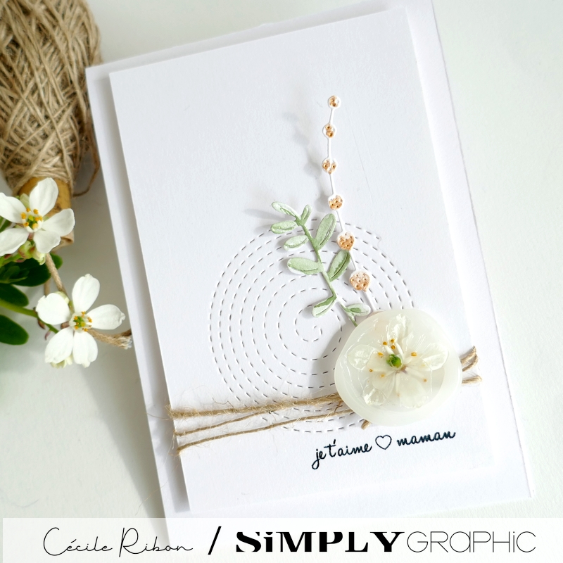 carte FMS583 - P1400235