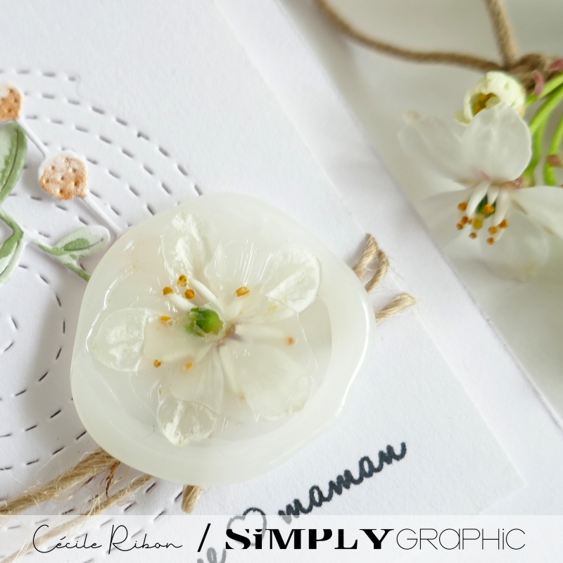 Carte FMS583 - P1400240