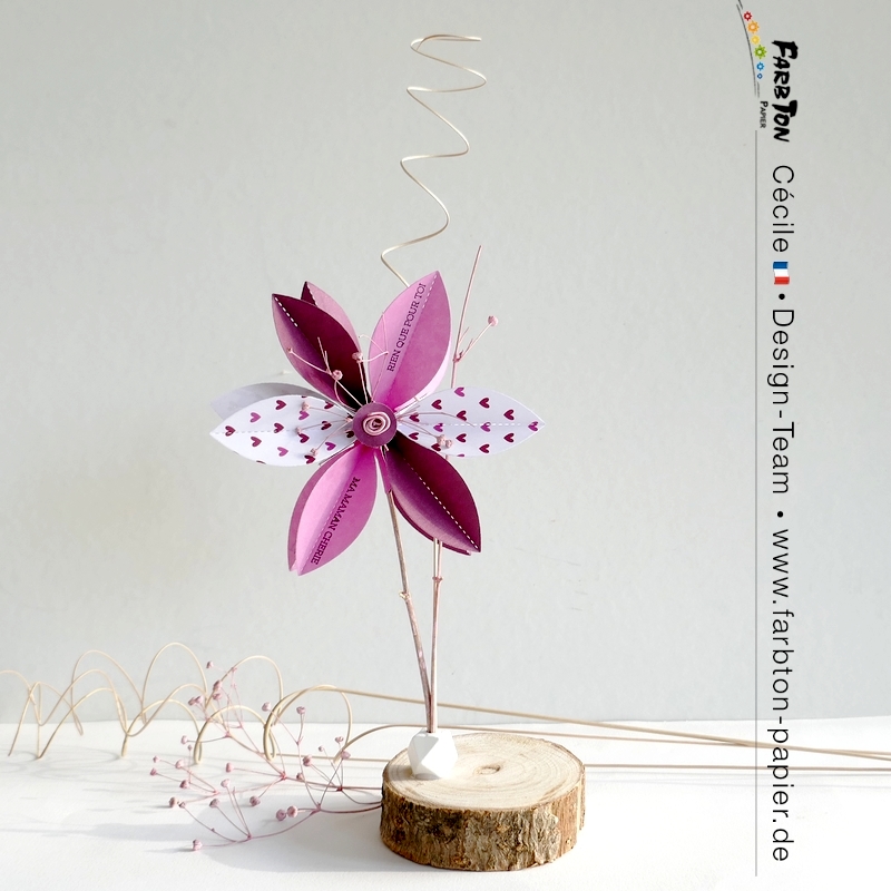 FarbtonP58 - P1400053