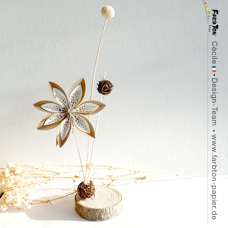 FarbtonP59 - P1400072