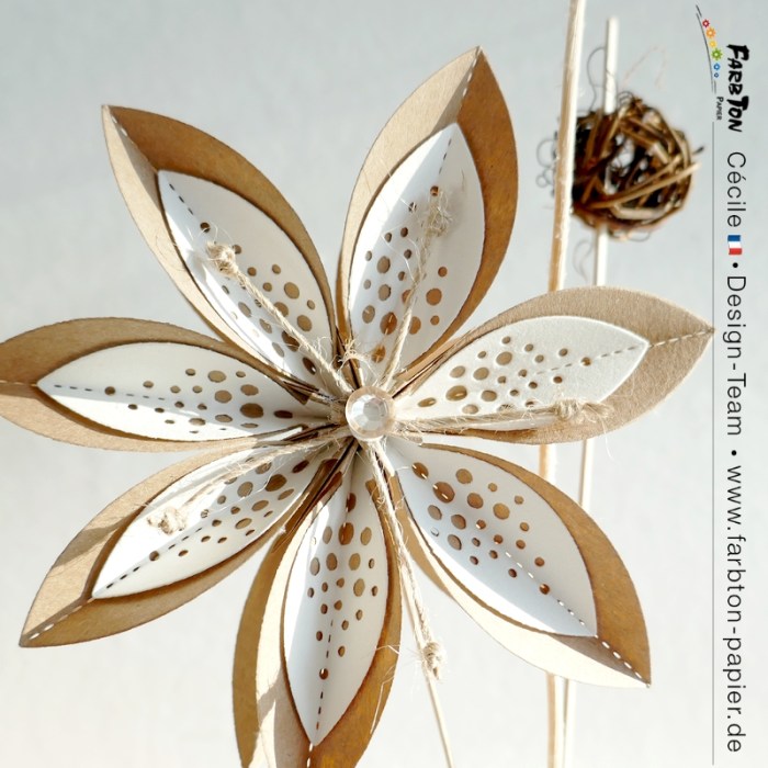 FarbtonP59 - P1400077