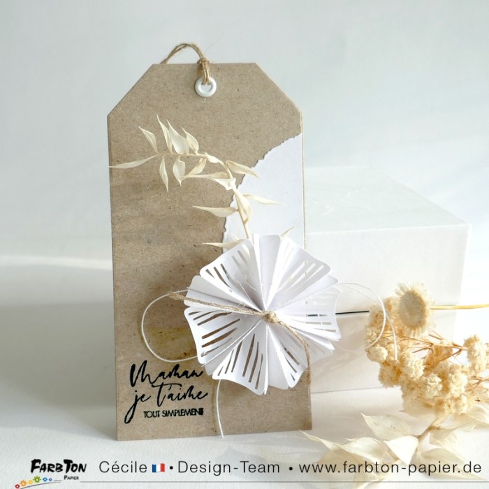 FarbtonP61 - P1400178