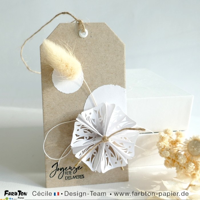 FarbtonP61 - P1400184