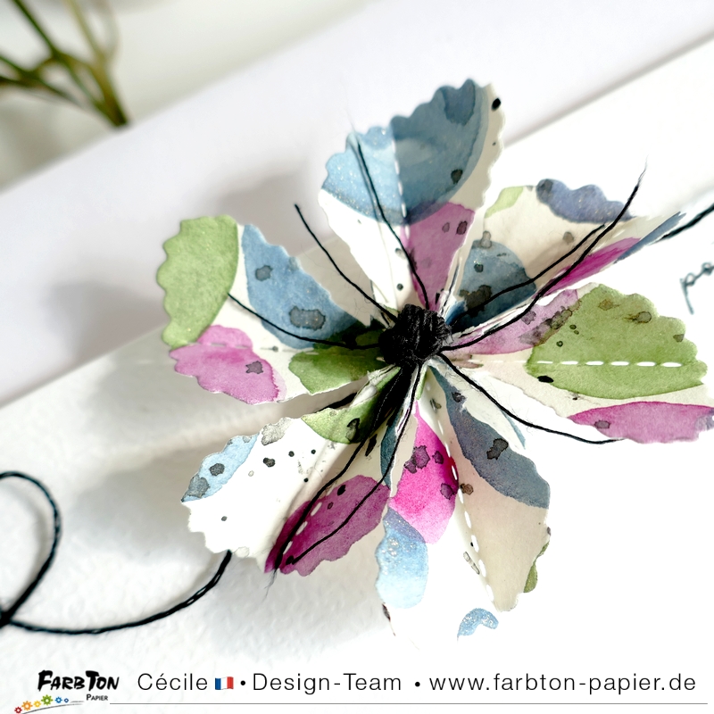 FarbtonP62 - P1400213