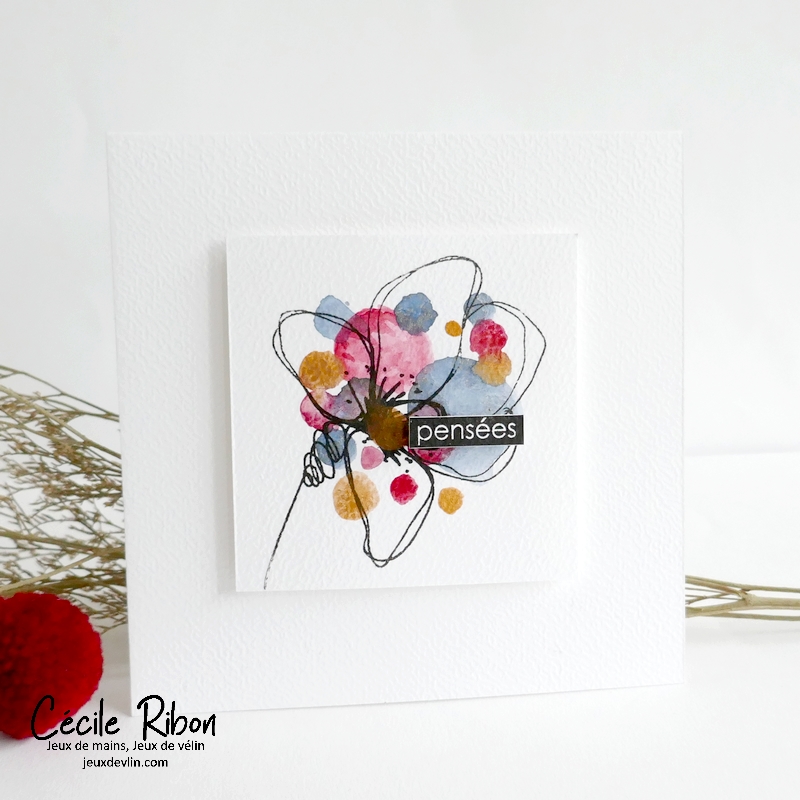 Carte CC&S511 - P1400682