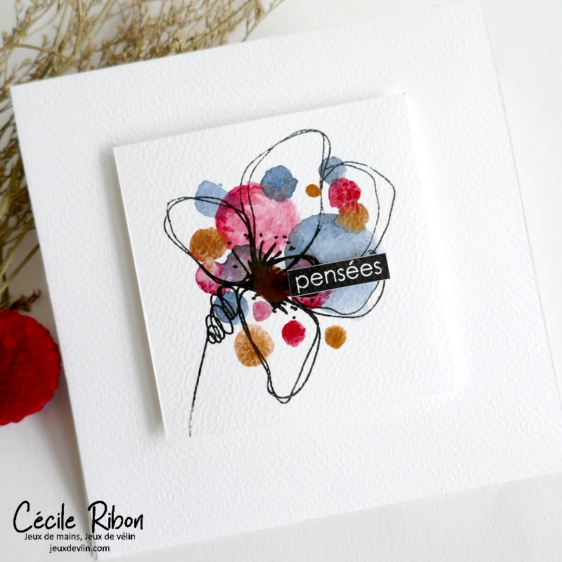 Carte CC&S511 - P1400689