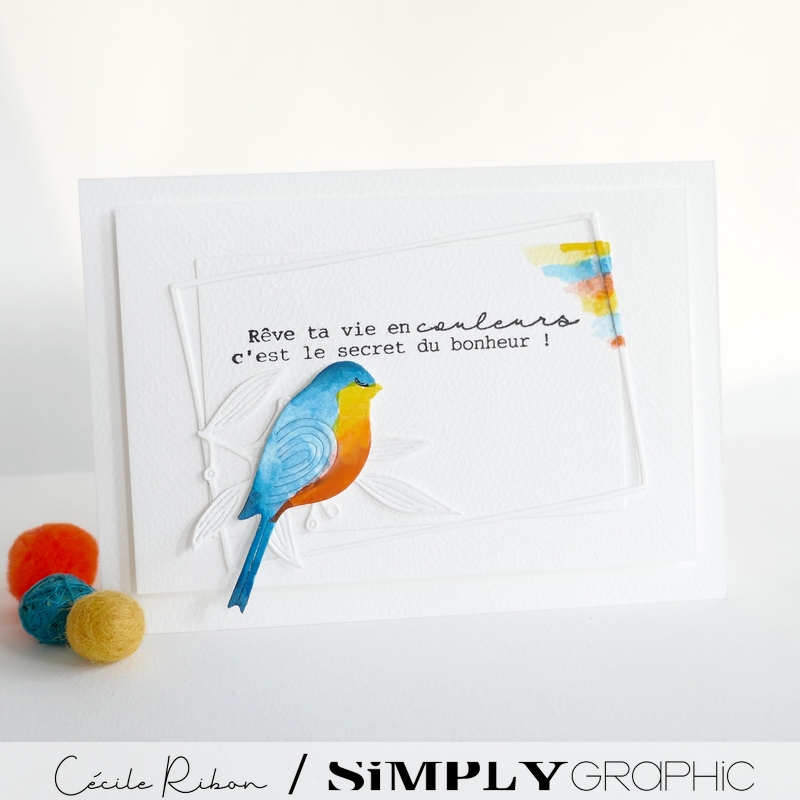 Carte CC&S513 - P1400881