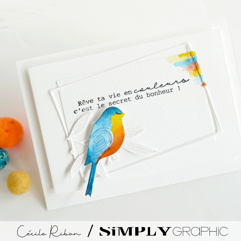 Carte CC&S513 - P1400886