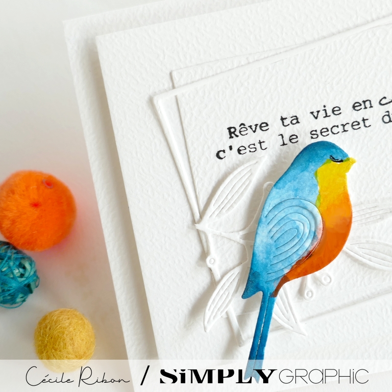 Carte CC&S513 - P1400896