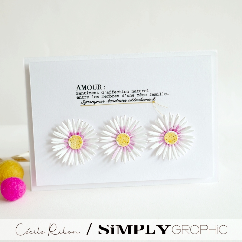 Carte FMS584 - P1400348