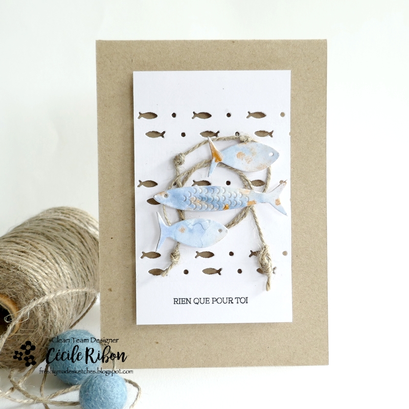 Carte FMS585 - P1400538