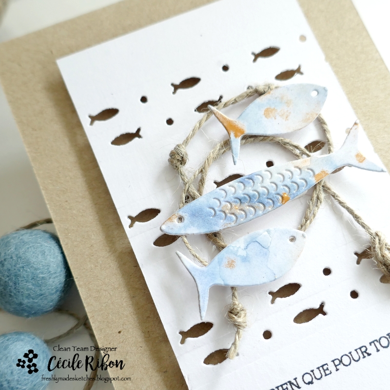 Carte FMS585 - P1400548