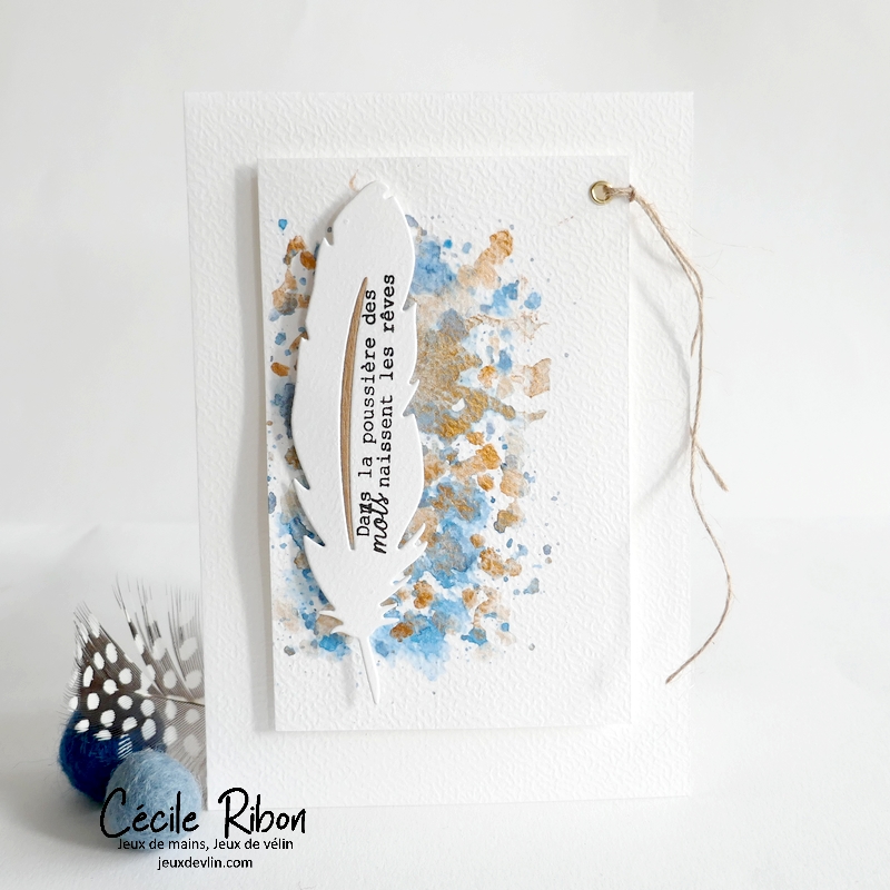 Carte FMS586 - P1400697