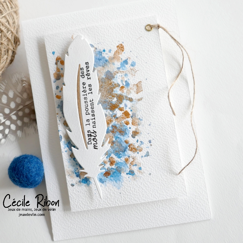 Carte FMS586 - P1400705