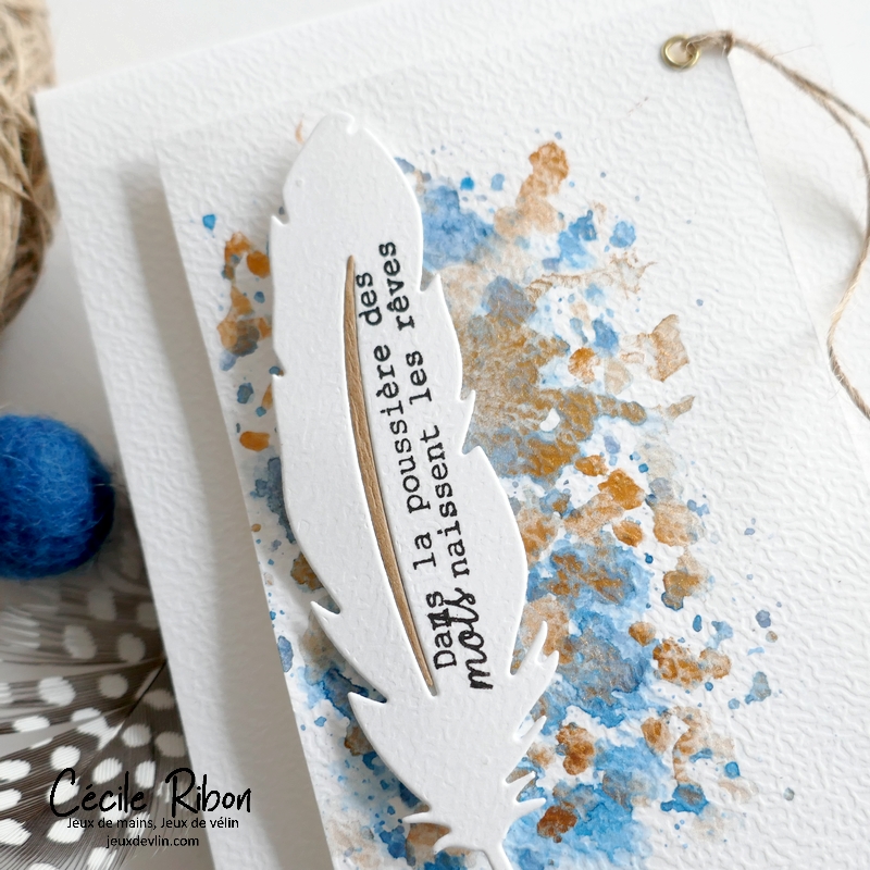 Carte FMS586 - P1400713