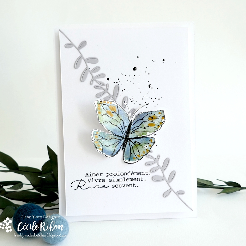 Carte FMS588 - P1400902