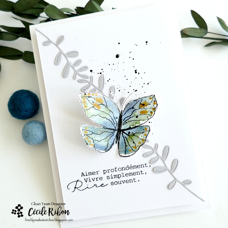 Carte FMS588 - P1400907