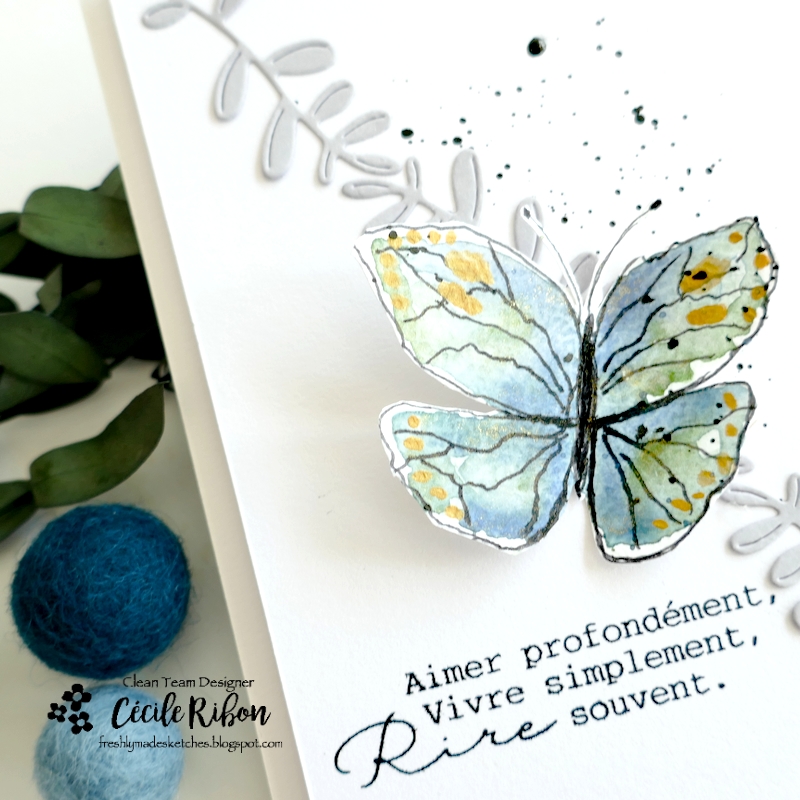 Carte FMS588 - P1400915