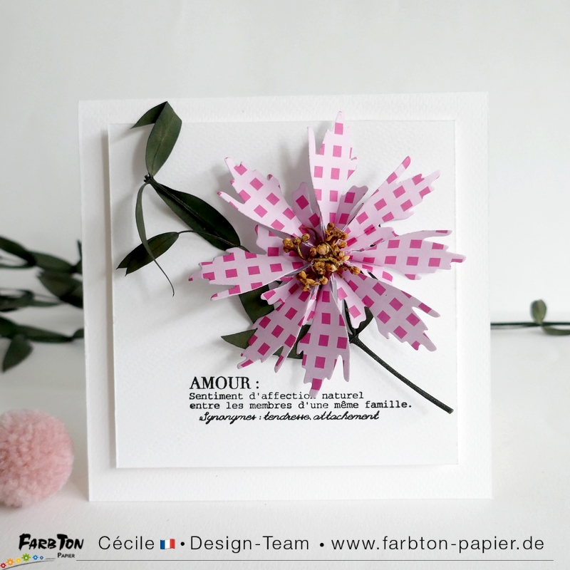 FarbtonP66 - P1400288