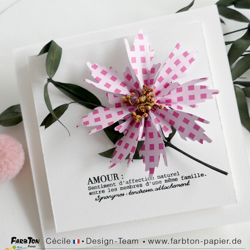 FarbtonP66 - P1400295