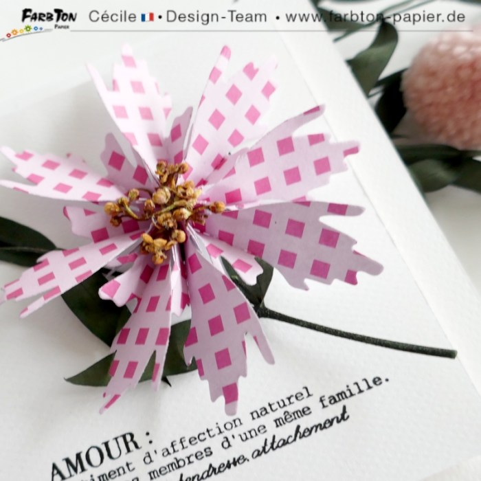 FarbtonP66 - P1400303