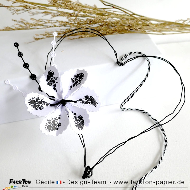 FarbtonP70 - P1400660