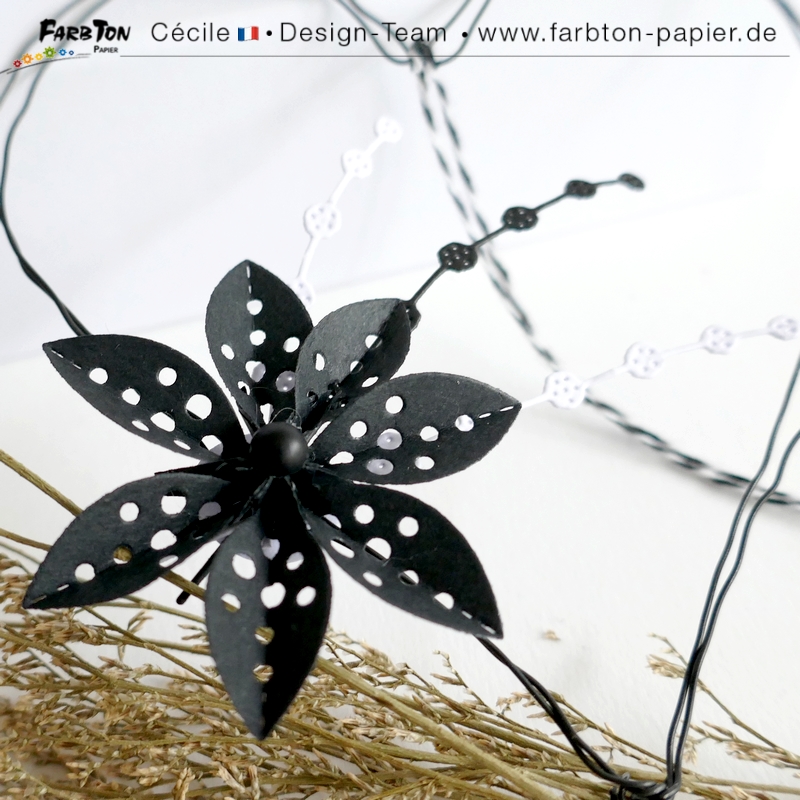 FarbtonP70 - P1400669