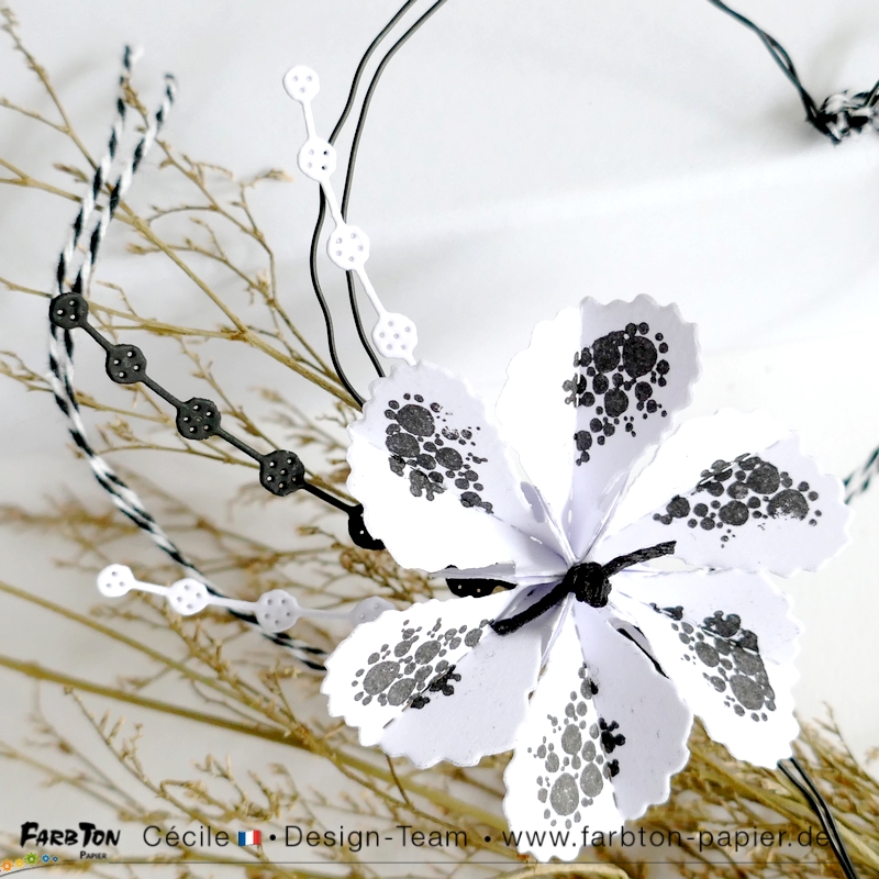 FarbtonP70 - P1400673