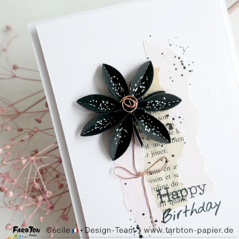 FarbtonP73 - P1400747